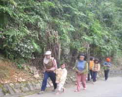 Mysterious Ho Chi Minh Trails 69USD/person